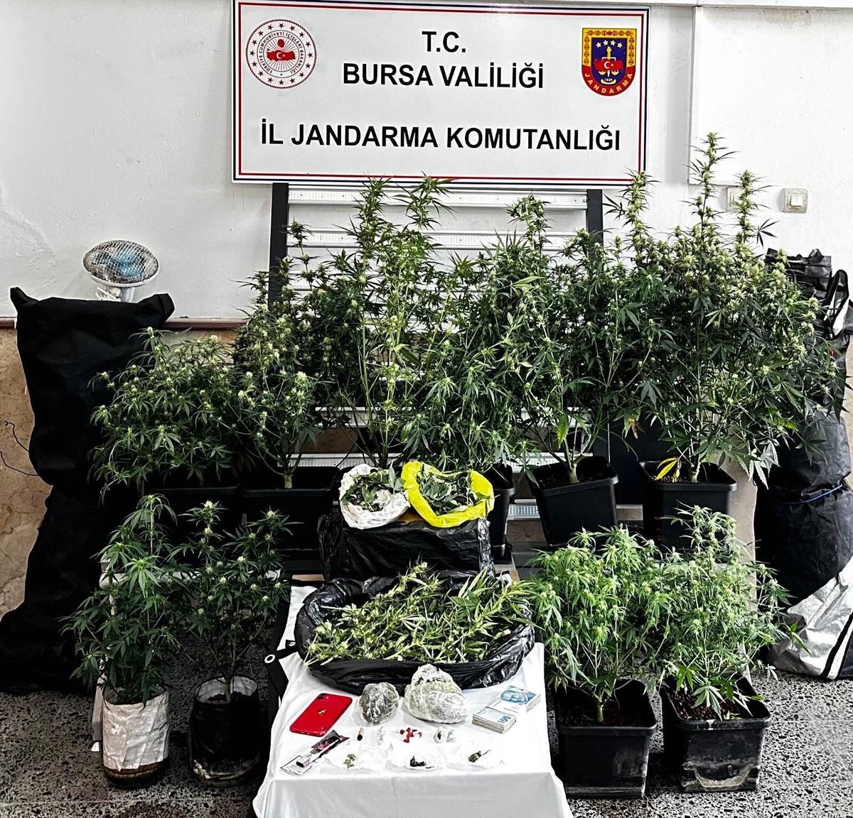 BURSA / TEKHA Bursa’nın Osmangazi