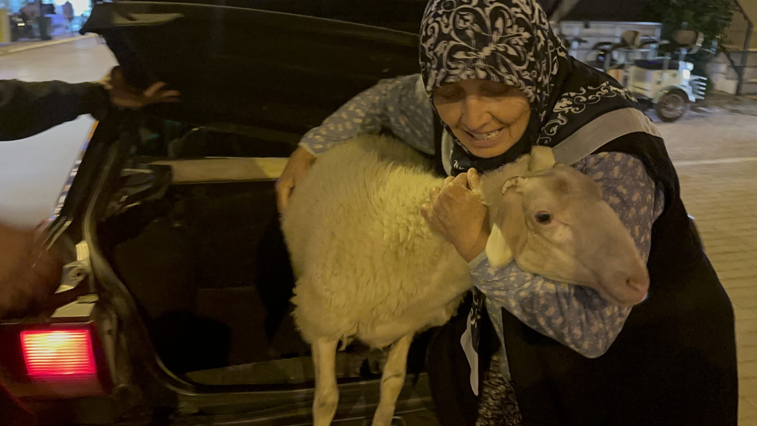 Bursa’da Kaybolan Evcil Kuzu ‘Çorap’ Kesilmekten Son Anda Kurtarıldı