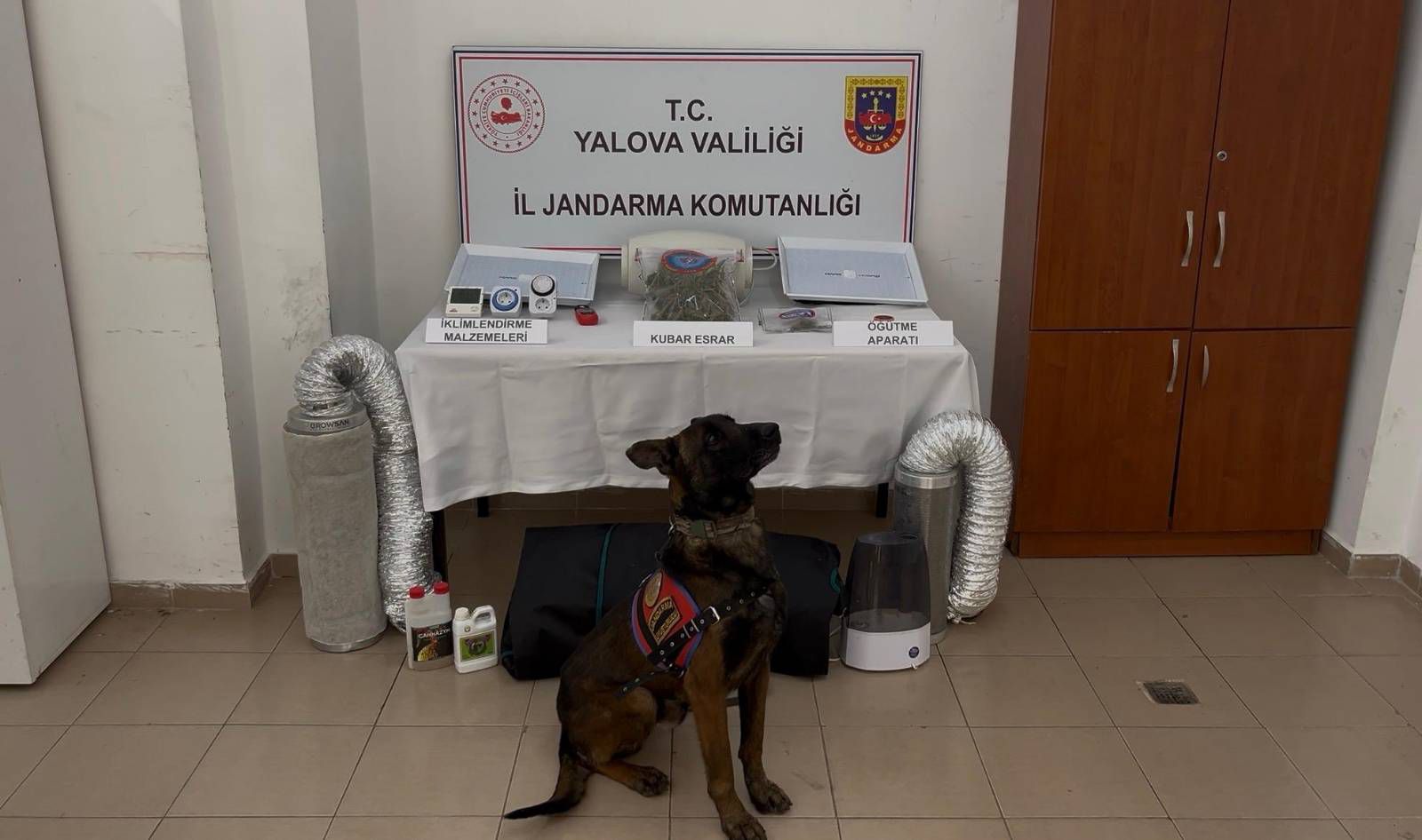 YALOVA / TEKHA Yalova İl