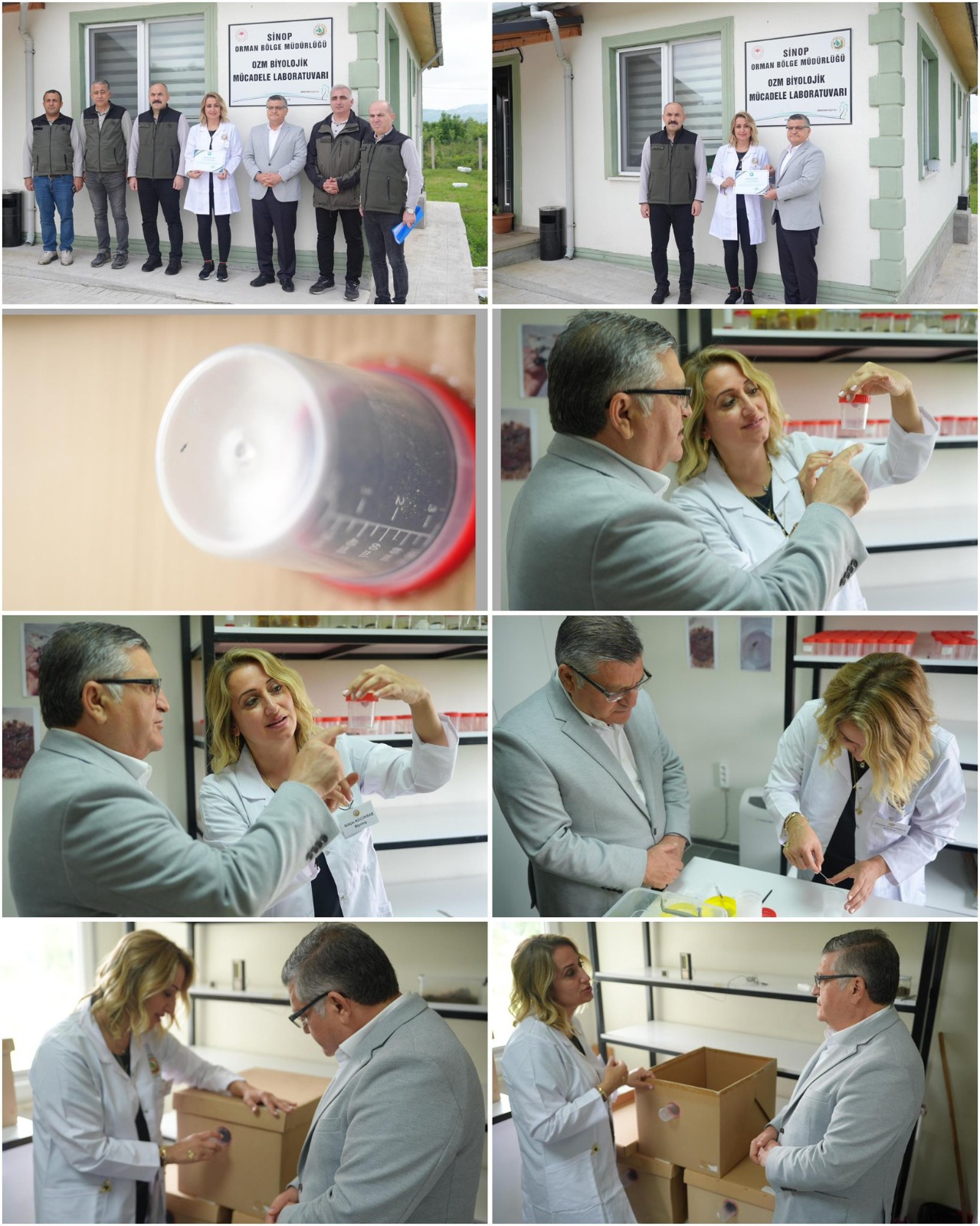 SİNOP / TEKHA Sinop’ta orman