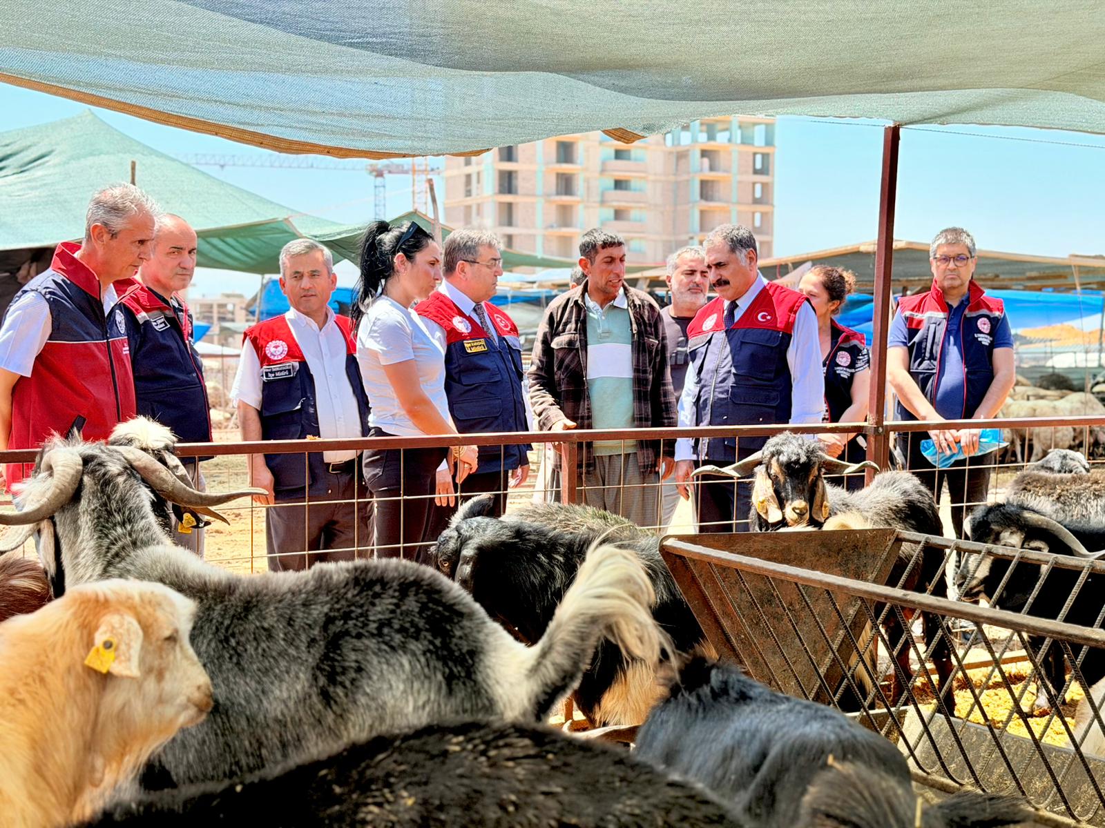 &nbsp; MERSİN / TEKHA Yaklaşan