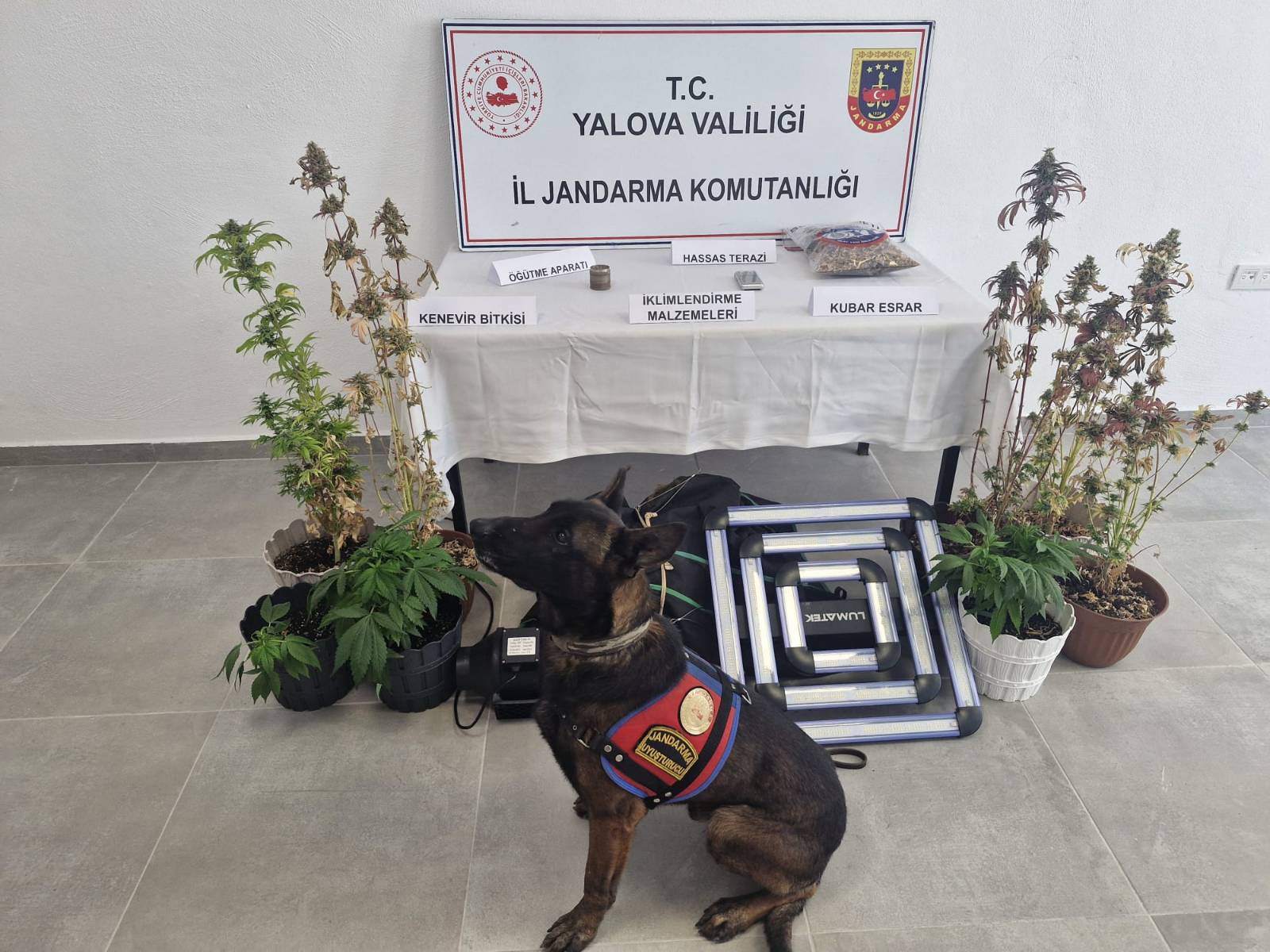 YALOVA / TEKHA Yalova İl