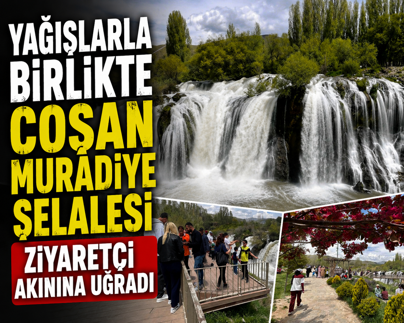 SUAT BARAN – VAN /