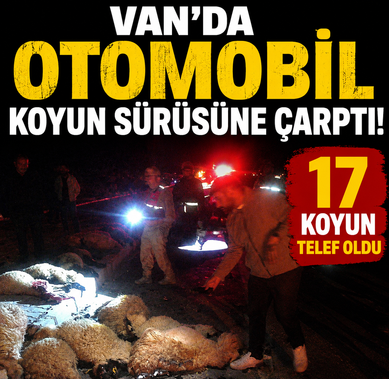 SUAT BARAN – VAN /