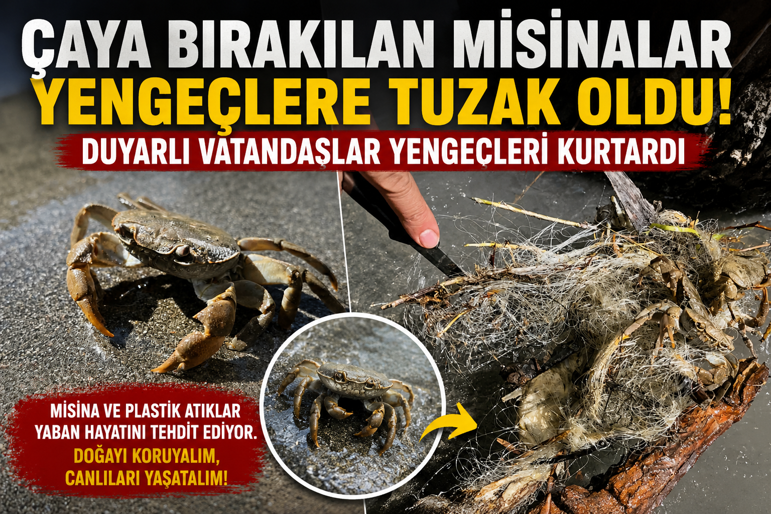 SUAT BARAN – VAN /