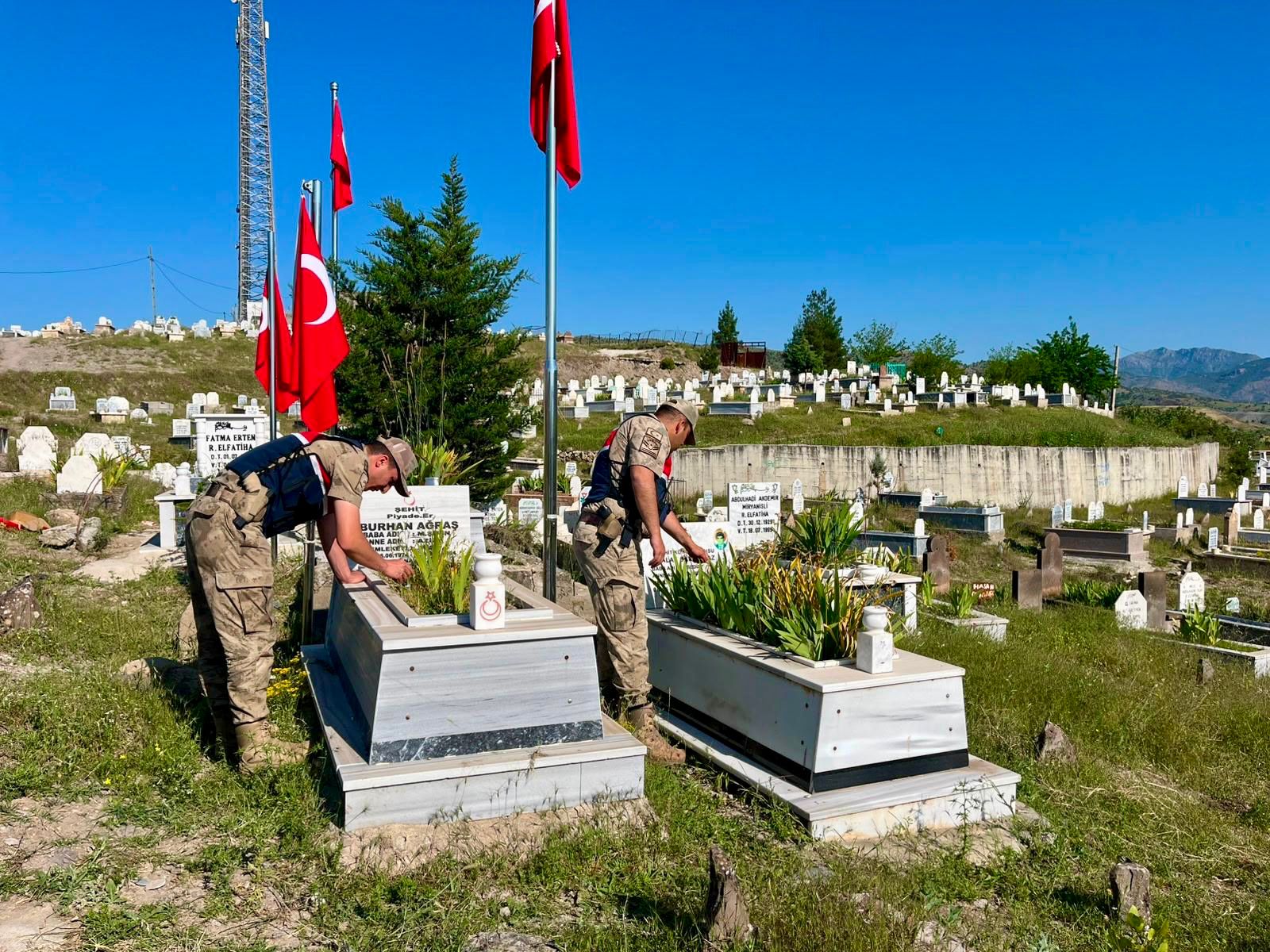 SİİRT / TEKHA Siirt’te Milli