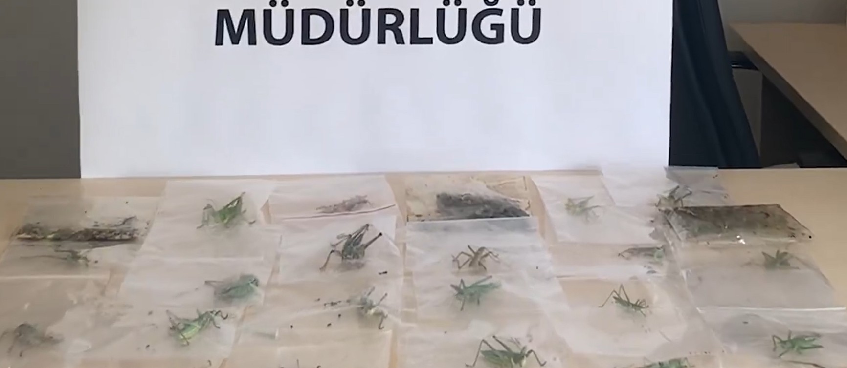 ADIYAMAN / TEKHA Tarım ve