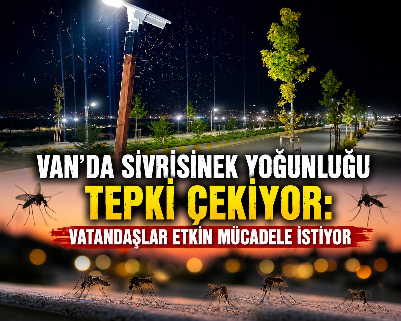 SUAT BARAN – VAN /