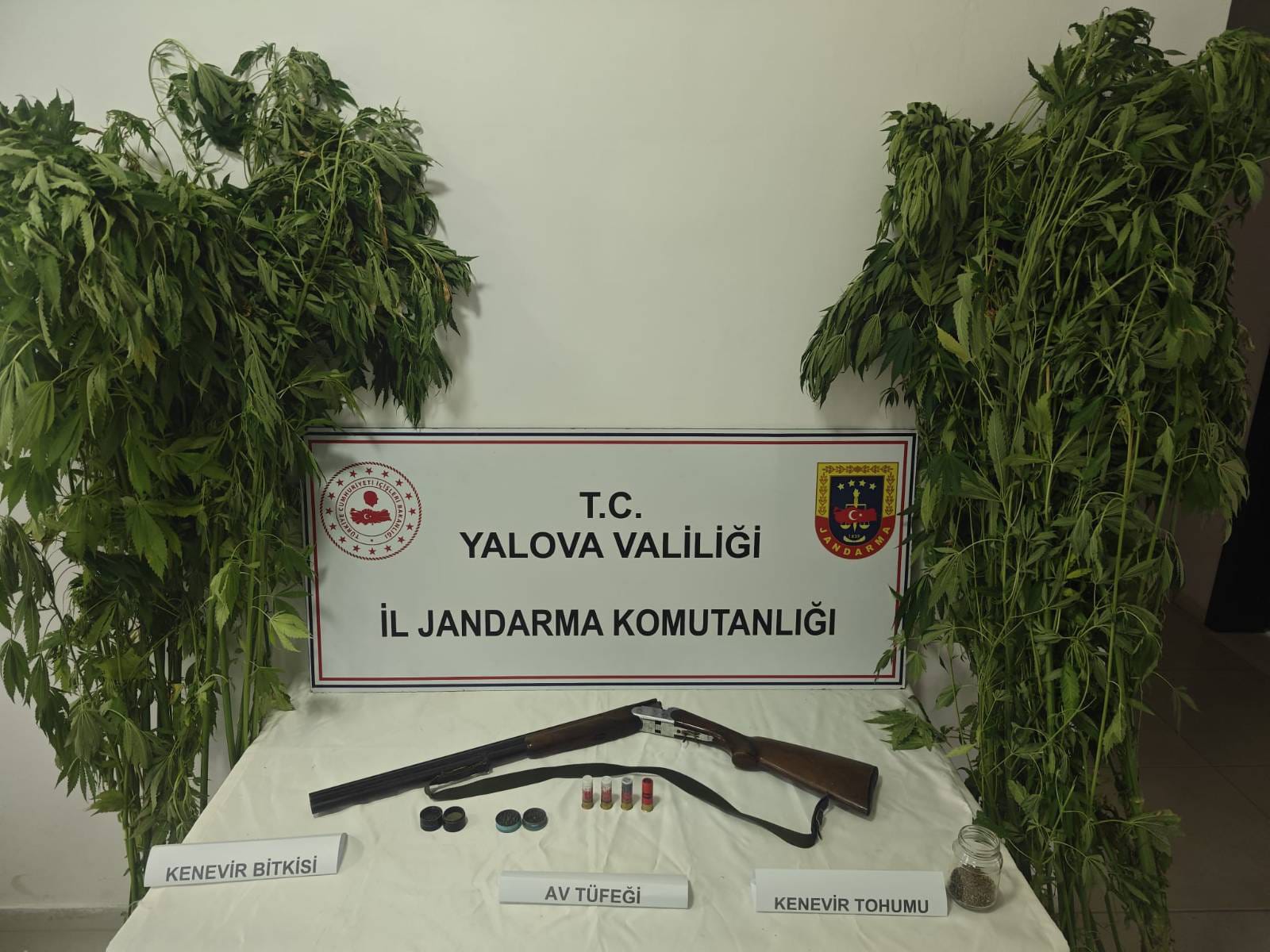 YALOVA / TEKHA Yalova İl
