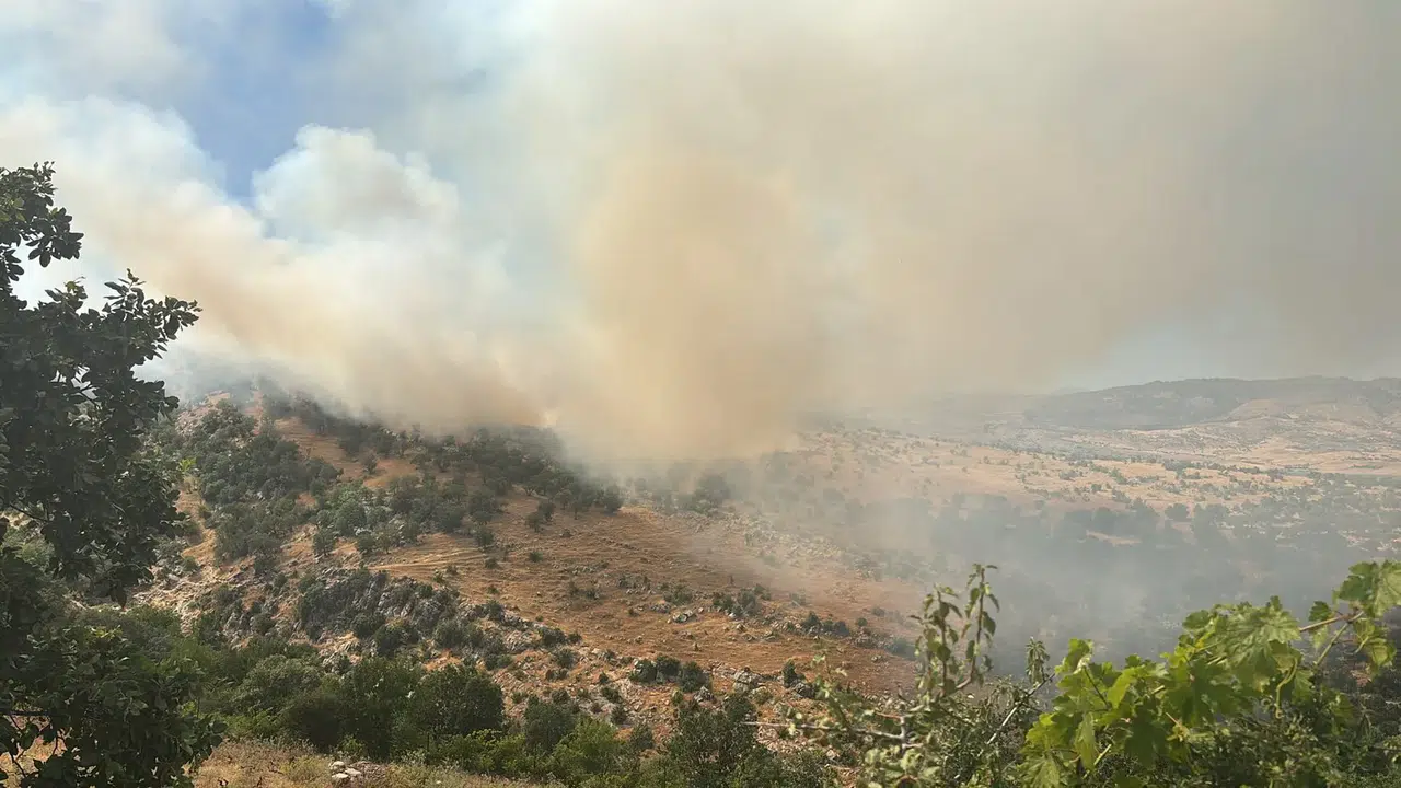 &nbsp; Van’ın Edremit ilçesinde çıkan