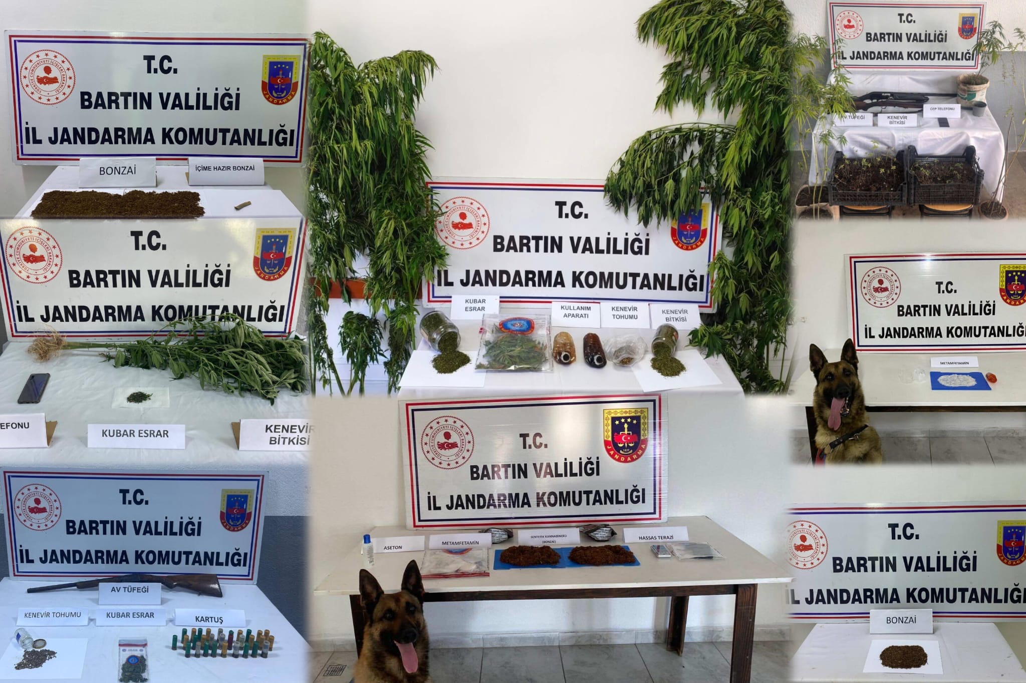 BARTIN / TEKHA Bartın’da zehir