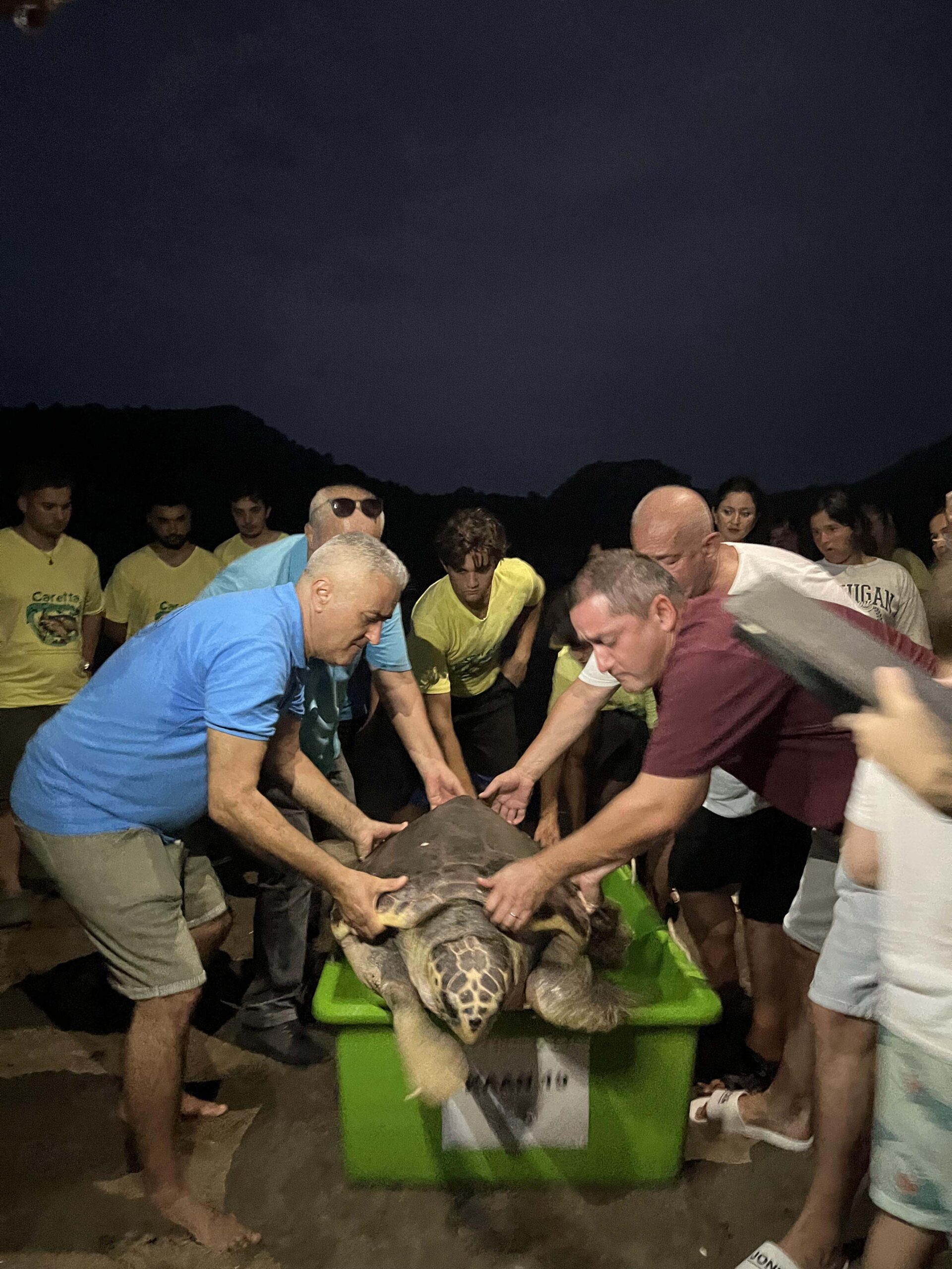 Muğla’nın Marmaris ilçesinde geçtiğimiz yıl