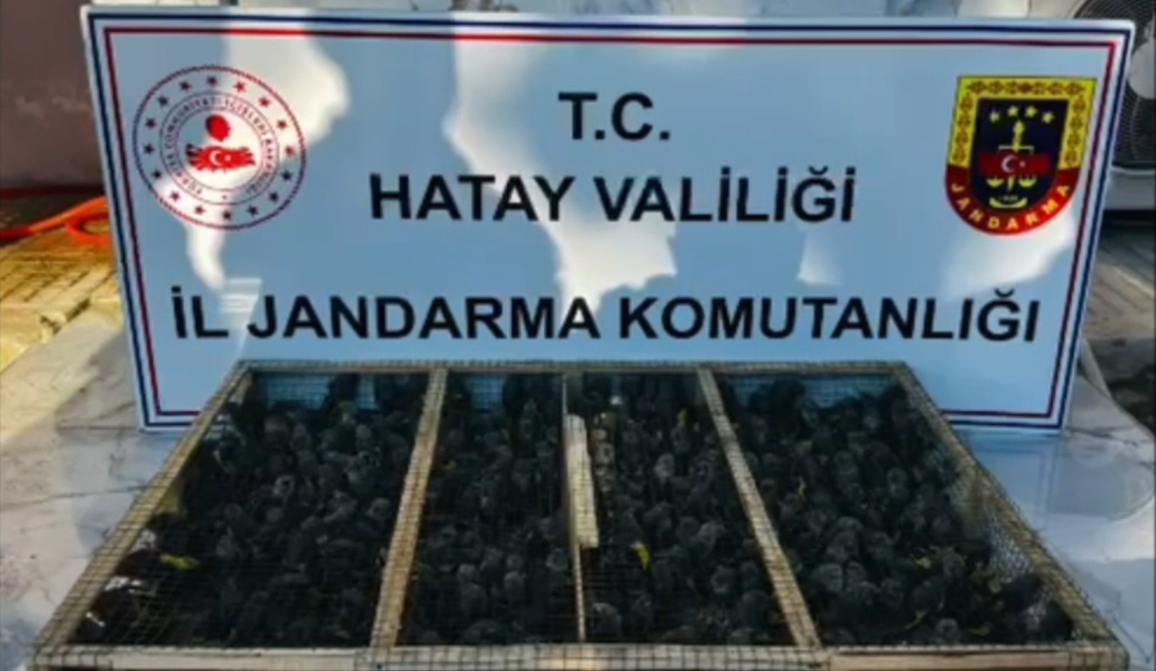 HATAY / TEKHA Hatay’ın Altınözü