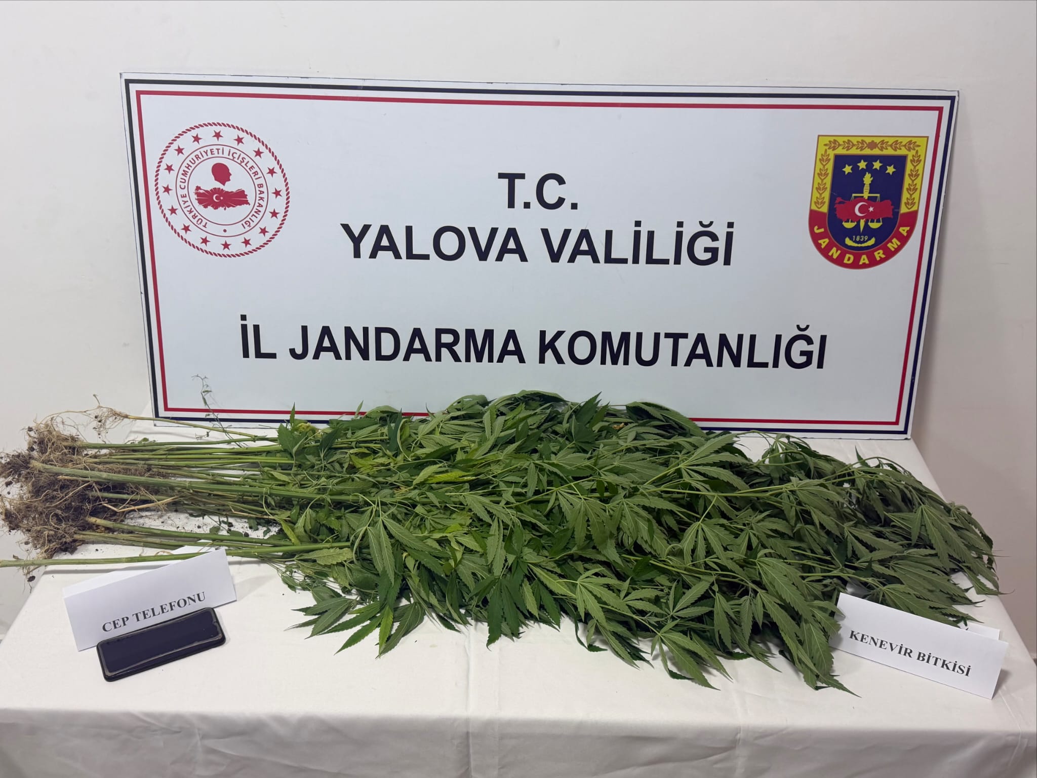 YALOVA / TEKHA Yalova İl