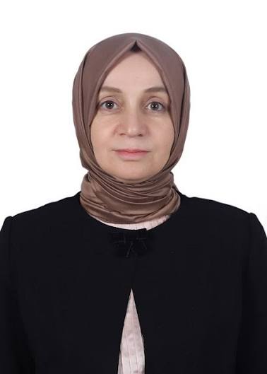 AK Parti Grup Başkanvekili Leyla Şahin Usta Trafik Kazası Geçirdi