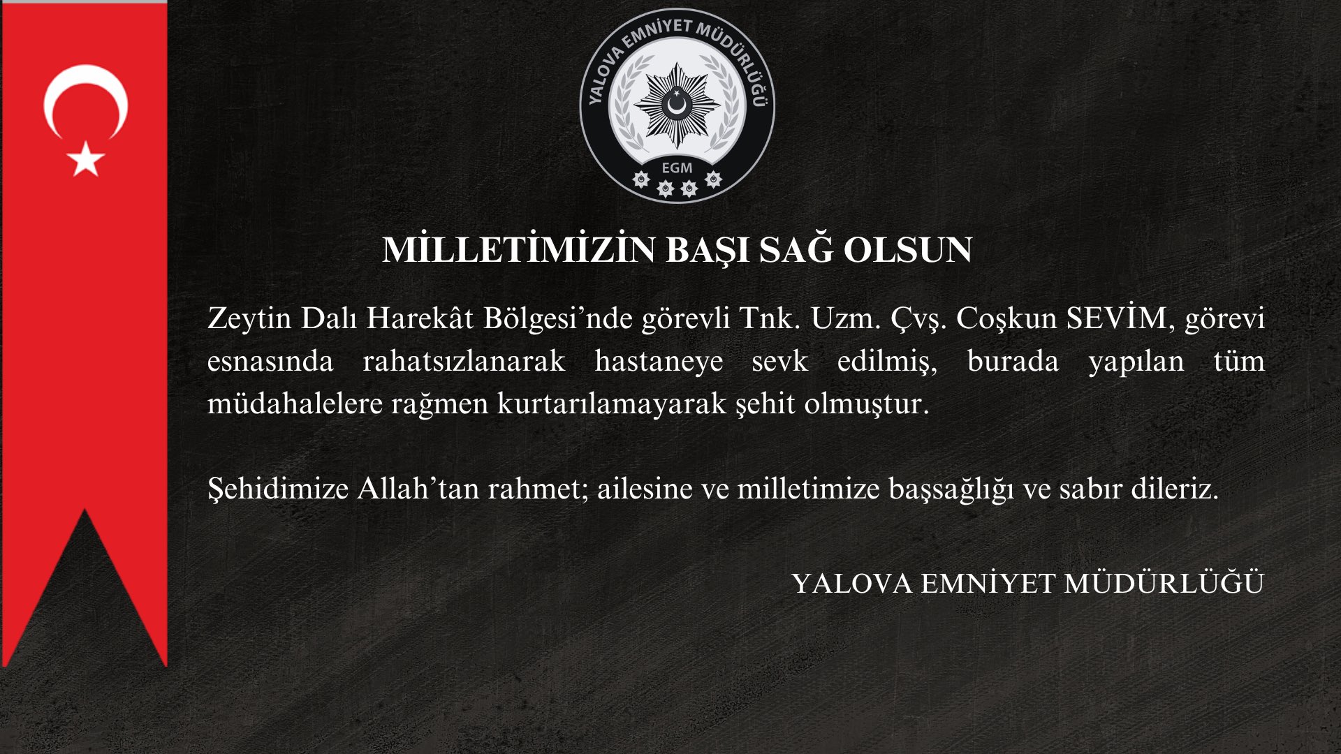 YALOVA / TEKHA Zeytin Dalı