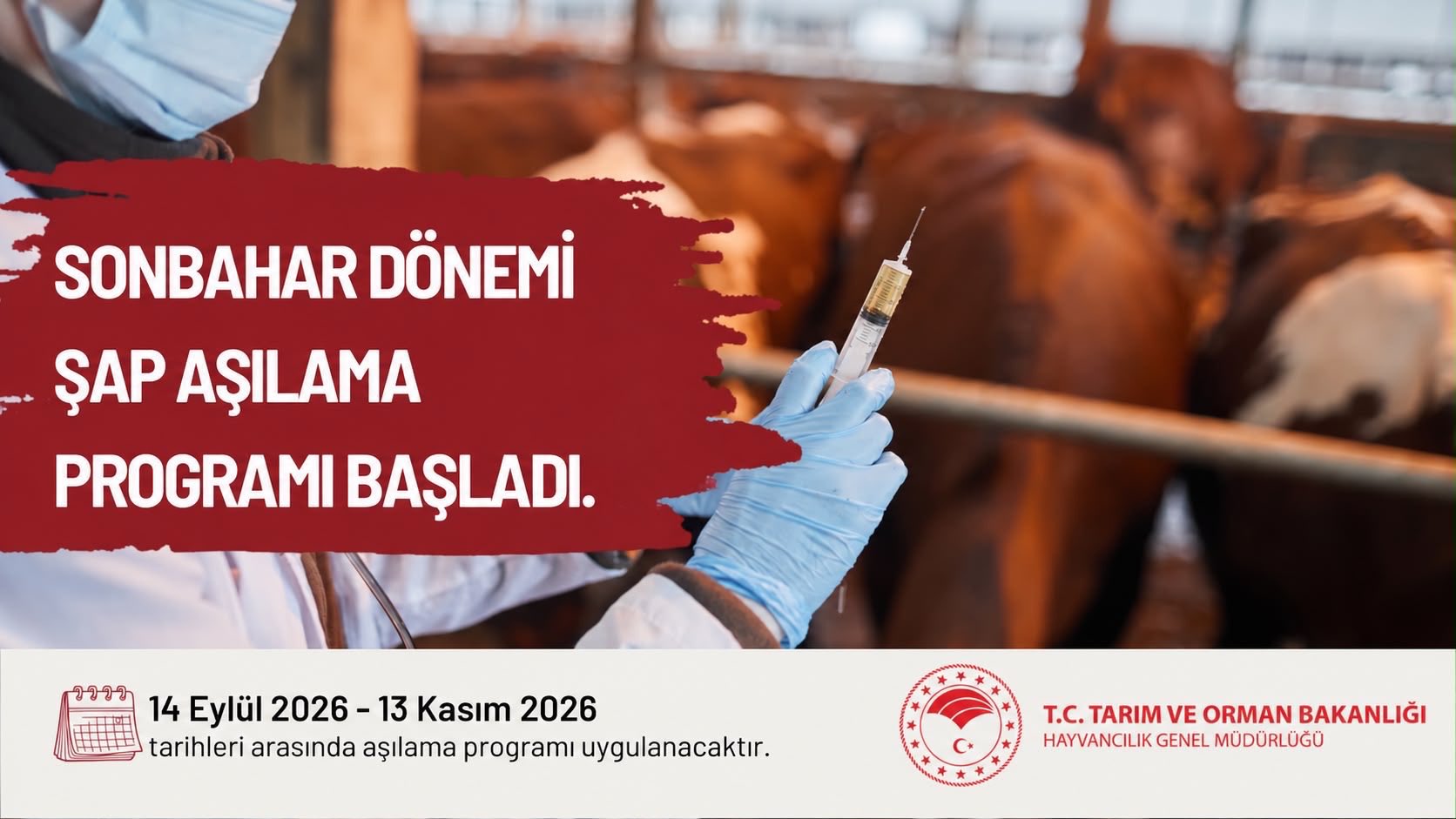 YALOVA / TEKHA Yalova İl