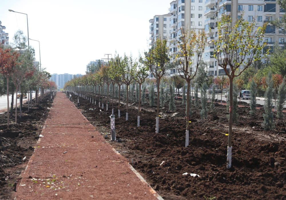 DİYARBAKIR / TEKHA Diyarbakır Büyükşehir