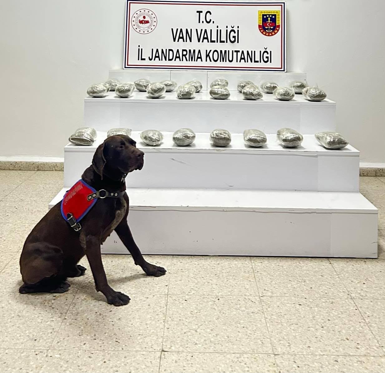 &nbsp; Van’ın Başkale ilçesinde jandarma