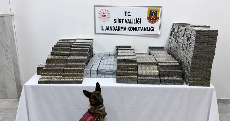 SİİRT / TEKHA Siirt’te jandarma ekiplerinin kaçakçılıkla mücadele kapsamında düzenlediği