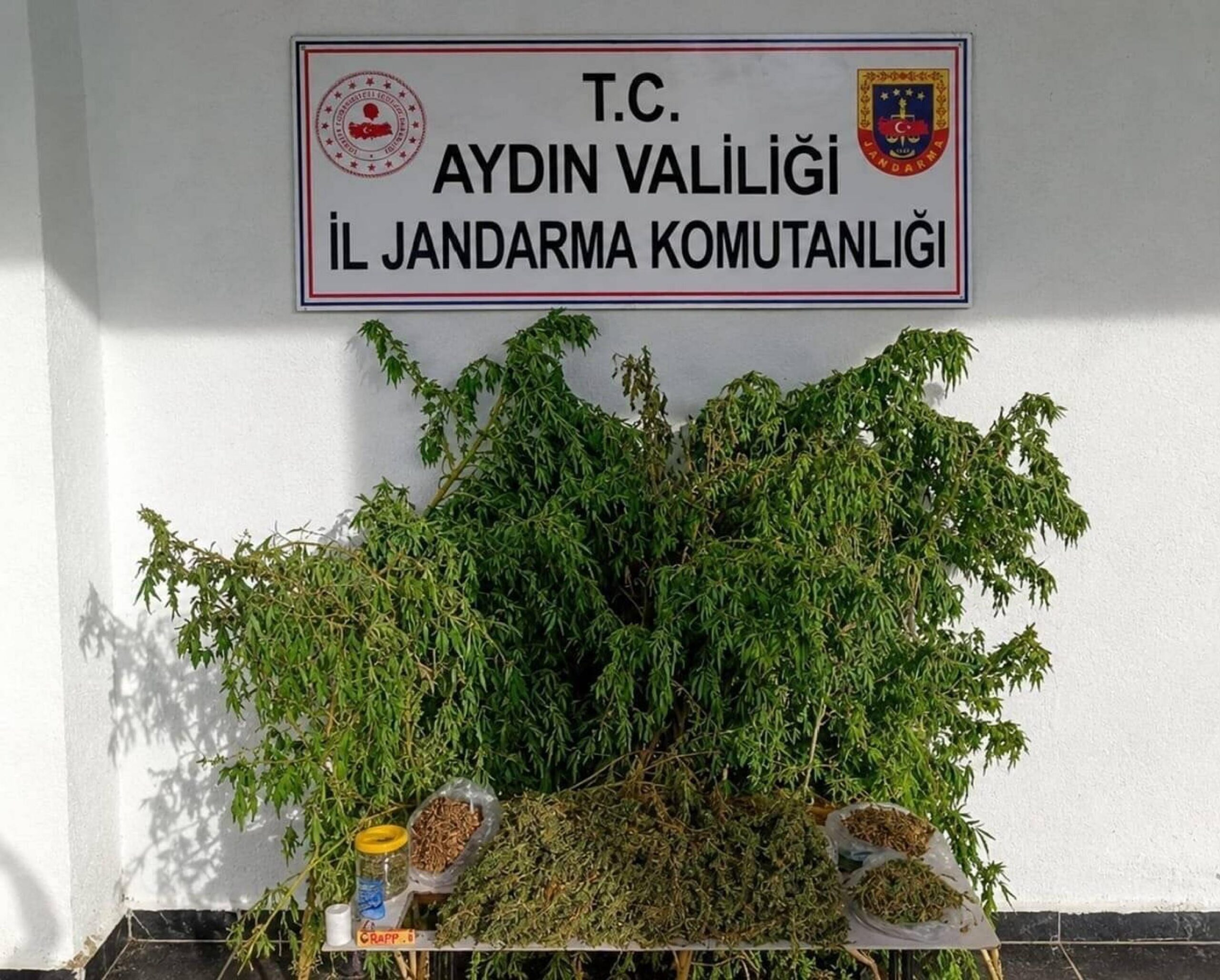 AYDIN / TEKHA Aydın’ın İncirliova