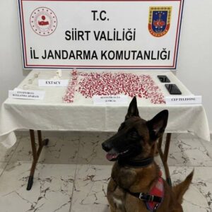 Siirt’te Yol Kontrolünde 2 Bin 650 Adet Uyuşturucu Hap Ele Geçirildi