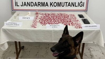 SİİRT / TEKHA Siirt İl