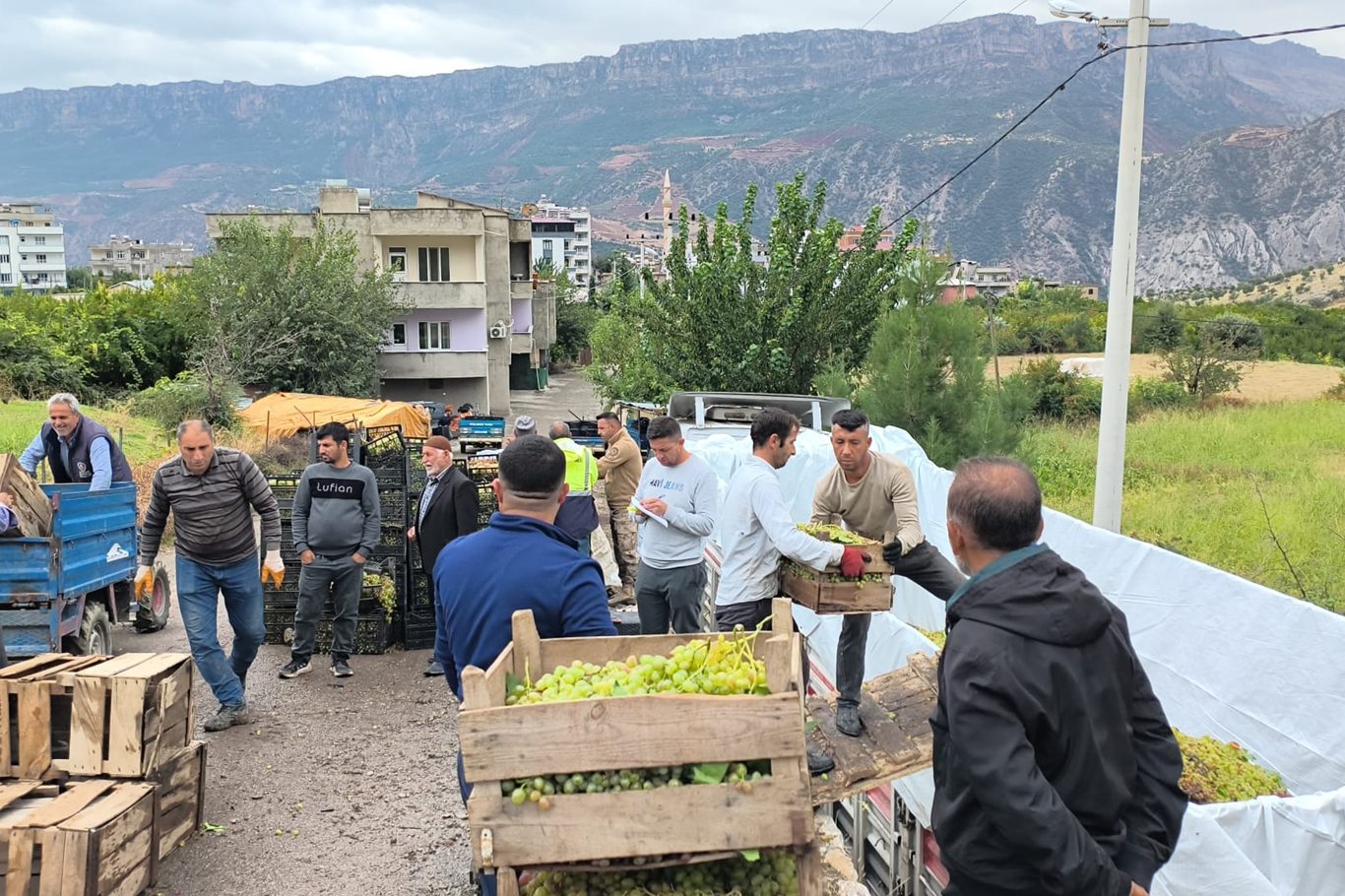 SİİRT / TEKHA Siirt’in Şirvan
