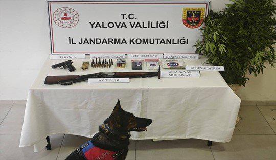 YALOVA / TEKHA Yalova İl