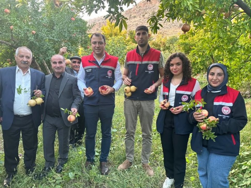 SİİRT / TEKHA Siirt’in Pervari