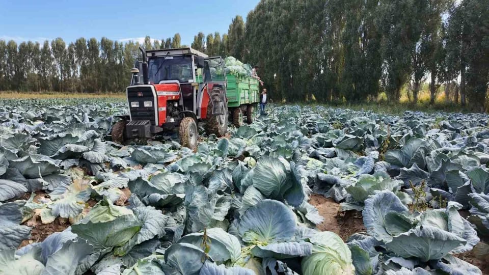 SUAT BARAN – VAN / TEKHA Bölge ekonomisinde önemli bir